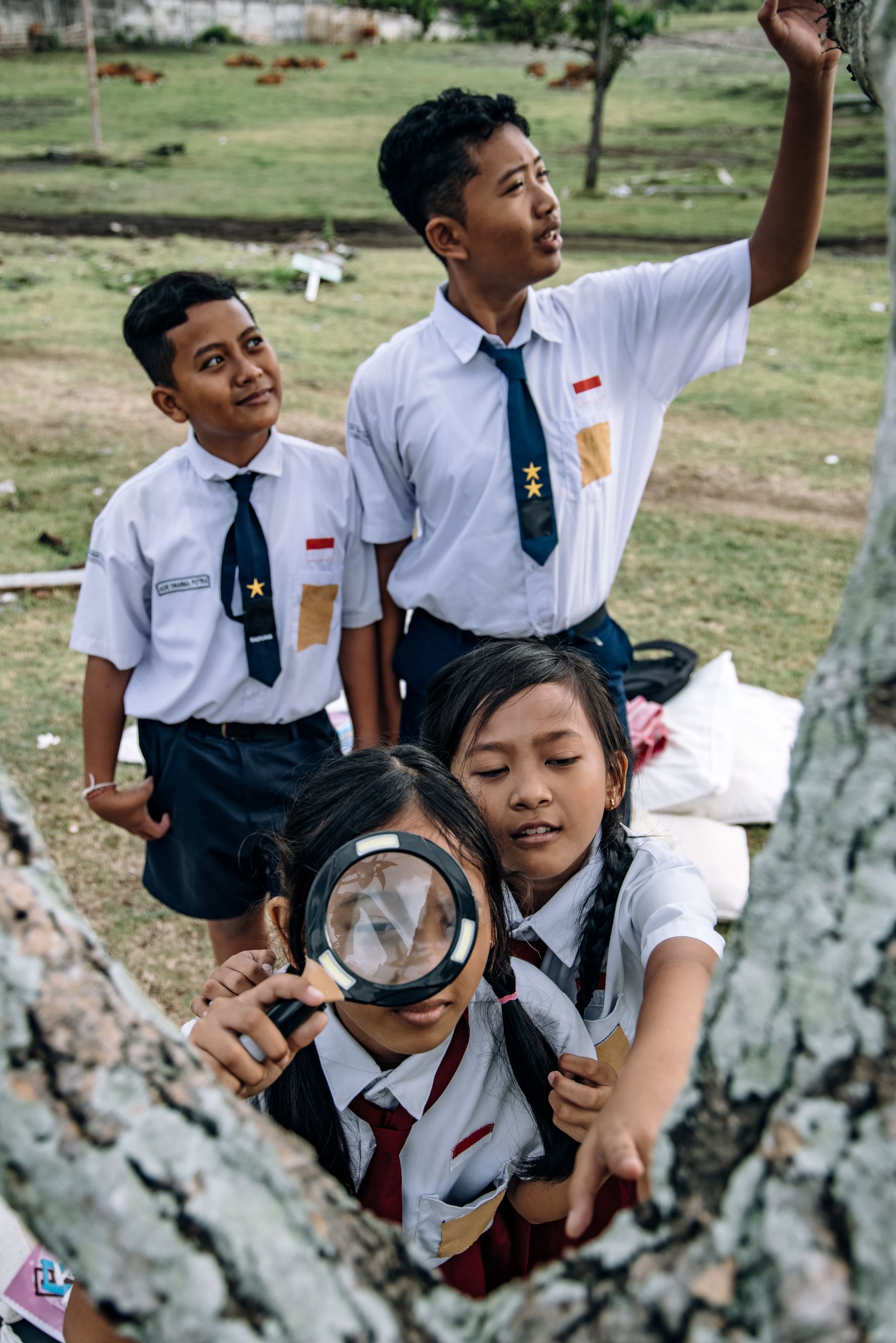 Students closely studying a tree with a magnifying glass